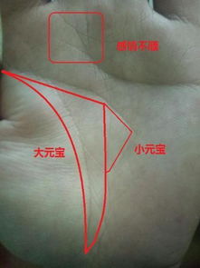 手相中三角形代表什么，是预示着什么特殊手相特征？