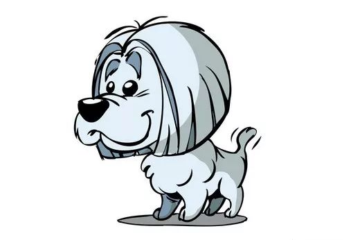 生肖狗今日运势详解具体包括哪些内容？