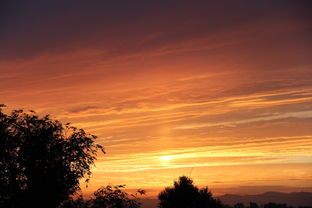 夕阳西下对应哪个生肖？这生肖尾巴特长是哪位？