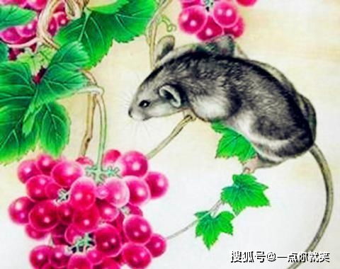 属马的父母生个属鼠的宝宝，这样的组合是否有利于孩子成长呢？