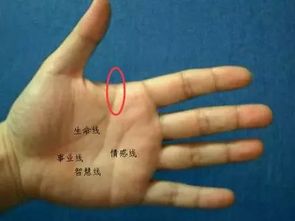 辅助纹路：十字纹、 星纹及健康线的补充说明