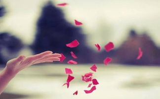 明年生女孩的八字命运如何，人八字带杀命运如何改善？