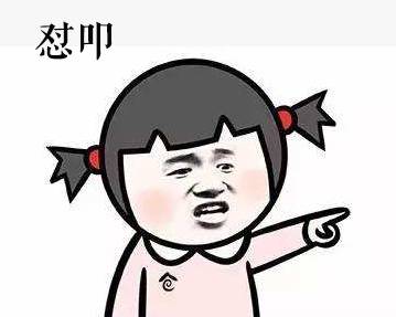 网络流行语+动物元素 = 超级无敌可爱组合！(✧∀✧)