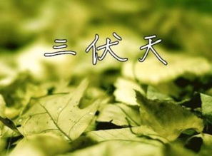 3.1 晒太阳：善用自然之阳