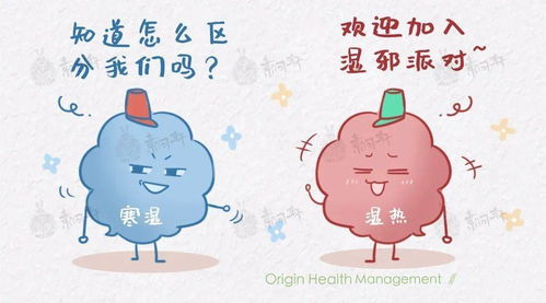 一、  辨证论治：理解湿邪的多样性