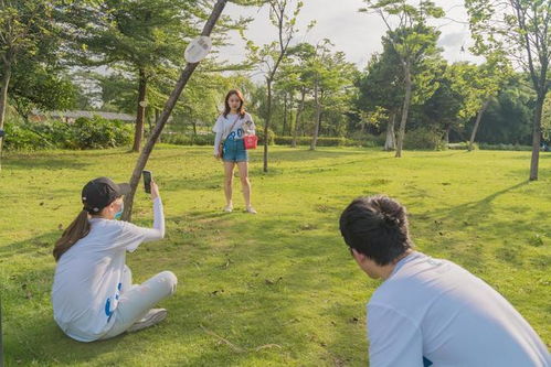 梗多趣味名称案例与效果（噪声版）