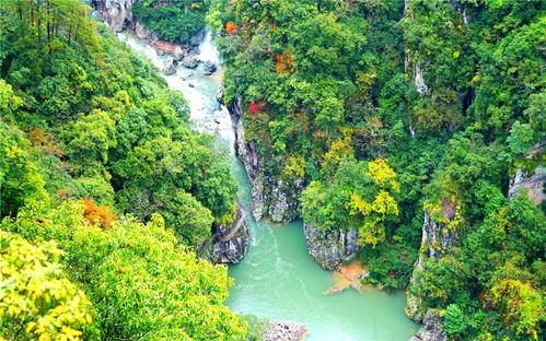 2026年黄历特别提示