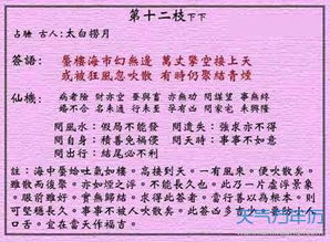 三、  各项事务的具体解读