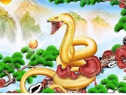 一、 探究框架与方法论