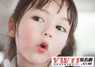 如何为2026年出生的狗狗女孩起一个既洋气又好听的小名？