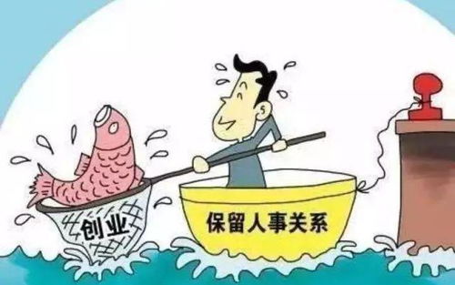 （四）色彩搭配与环境美化