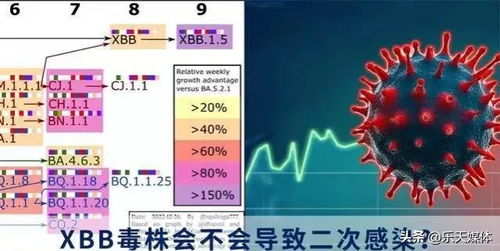 ：XBB毒株流行背景下的生肖运势与健康防御机制分析