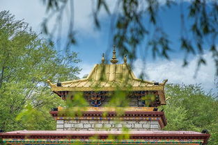 如何根据2026年楚辞为男宝宝取名，楚辞风格男孩女孩名字怎么取？