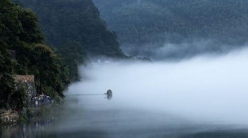 追求平淡生活，哪个生肖最安安稳稳才是福？