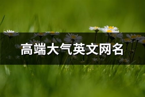 如何为心爱的人挑选一个独一无二的微信情侣网名？