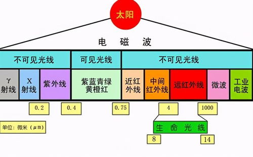 3. 风水理论维度：空间范围布局要素与品牌能量场构建