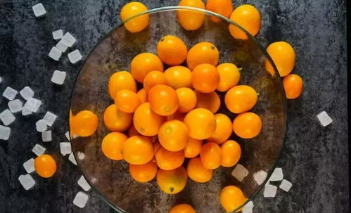 1. 光照与通风条件