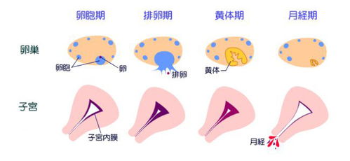 1. 生活方式调整：从内到外调理身体