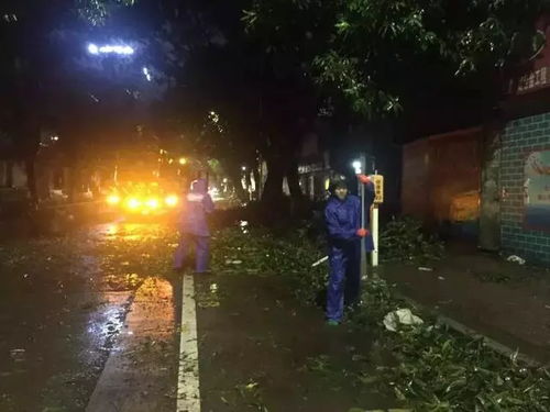 第一章：电摩文化底蕴的兴起与“夜行”的象征意义