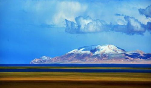 这里的风比你的前任还绝情