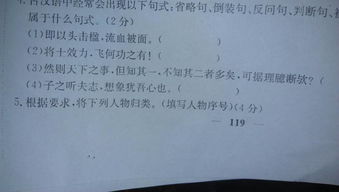 ：从儿格的定义与核心要点