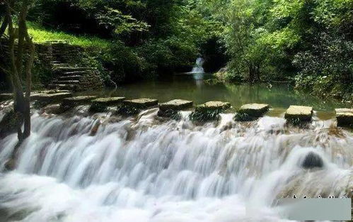 香水河：不是来避暑而是来听水声!