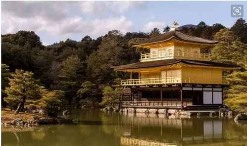 风水大师的奇葩日常