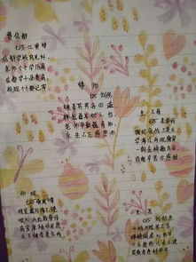 诗意命名：为虎宝宝取一个独一无二的名字