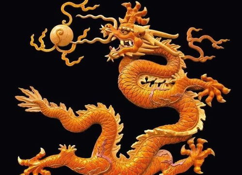 梦到龙周公解梦三日内不能说破，若不小心说出了该如何是好？