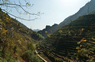 周边自驾游，美到哭！