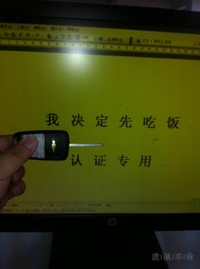 统计学验证：四角宫位行星对职业选择之关联性