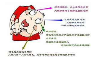 1.3 月柱对眼眸及情绪表达的映射