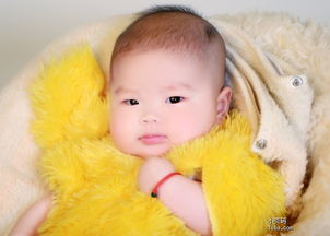 八月（冲月）出生