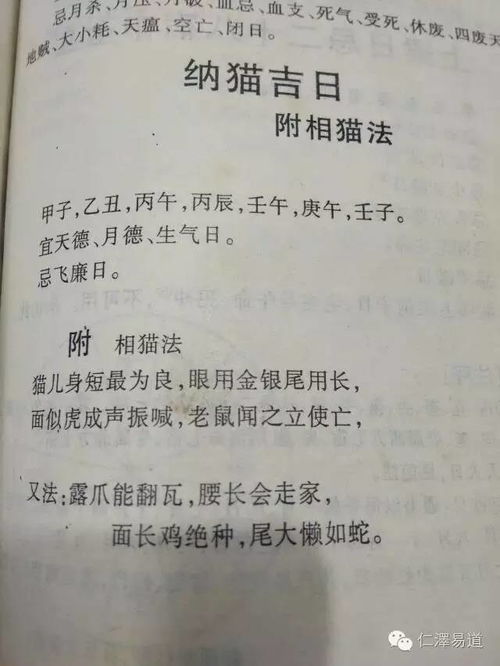 序言：古法择日之精髓与现代化启示