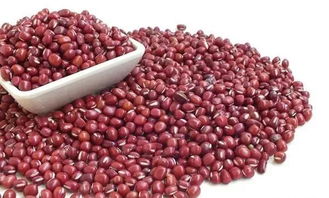 适量运动：促进气血循环与新陈代谢