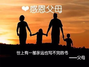 一、 生肖属相维度下的人际关系网络解析
