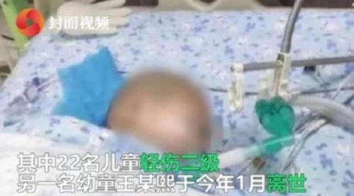 一、 案件概述及探究背景