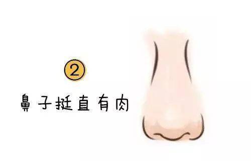 五、 鼻梁挺拔隆起——妻缘旺盛与责任感并重