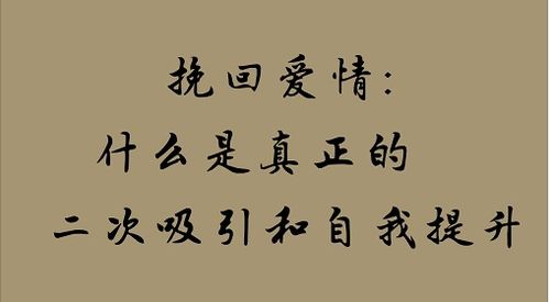 （二） 二次吸引的构建与信息传递的有效性