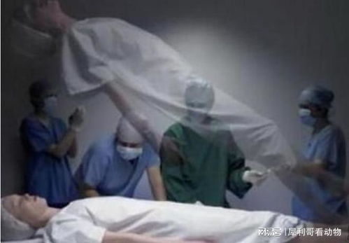 梦见自己重病濒临死亡预示着什么征兆或暗示？