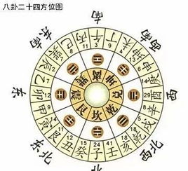 三元龙的划分方式及其意义