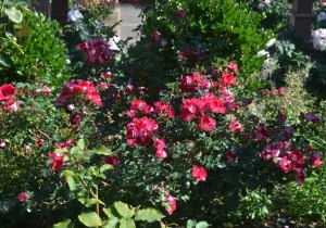 景点：名不副实到极致