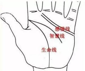 梯形手相图如何合拍，是？