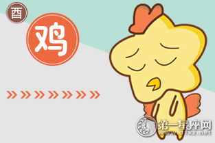 生肖属鸡今日婚姻运势如何？