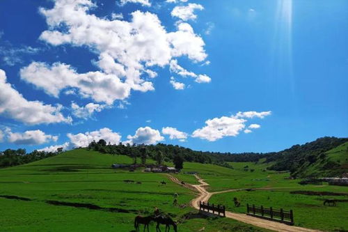 三、 吃在银川草原：一种味蕾的冒险