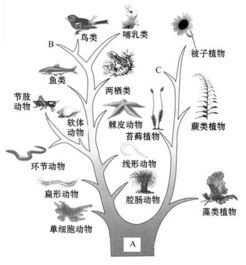 动物行为异常与预示