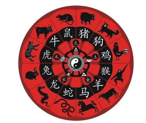 十二生肖运势查询今天具体排名是怎样的？