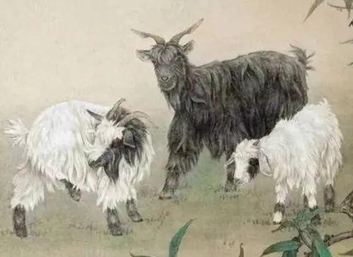 1967年属羊的男性性格特点是否强势？