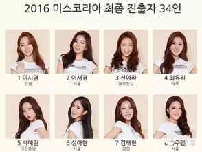 行业领袖及品牌指数概览