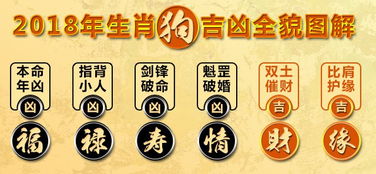 庚戌女命在哪些大运中运势较好？